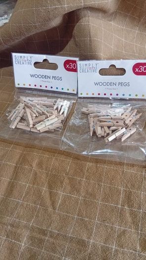 Craft Miniature Wooden Clothes Pegs