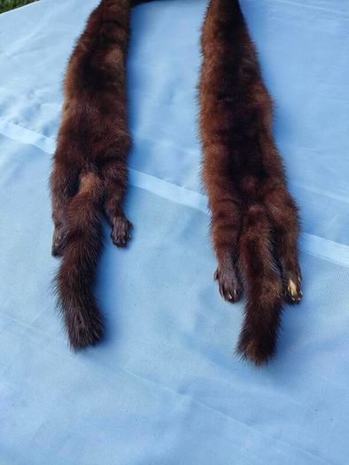 Barnardo's double pelt mink stole