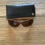 Bolle Serpent Sunglasses with case Image 2