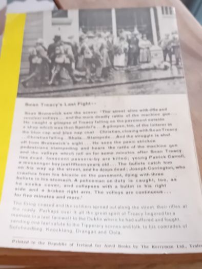 Sean Treacy And The 3rd Tipperary Brigade