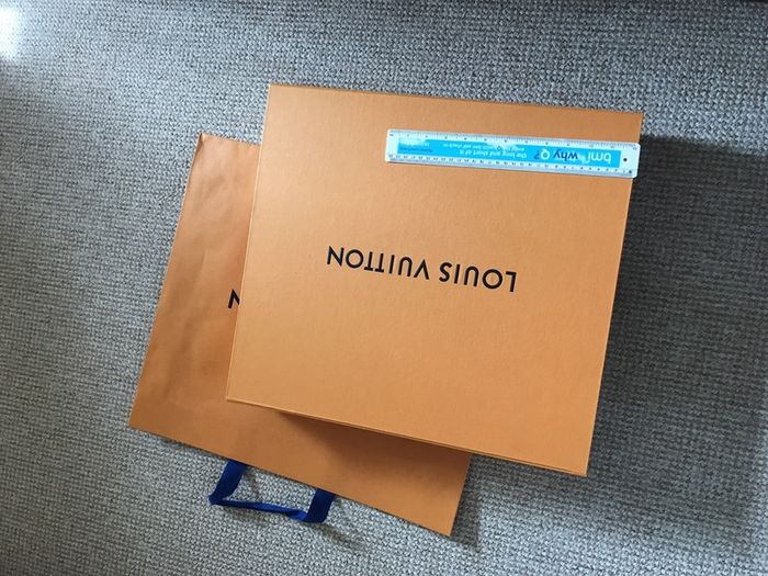 Louis Vuitton box and carry bag
