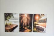3 canvas 46x66cm