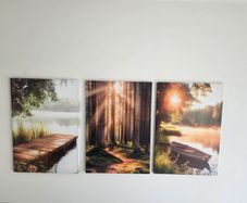 3 canvas 46x66cm