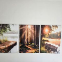 3 canvas 46x66cm