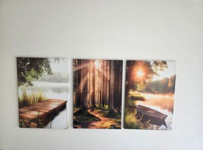 3 canvas 46x66cm