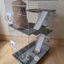 Rat cage and 2 cute rats Image 8