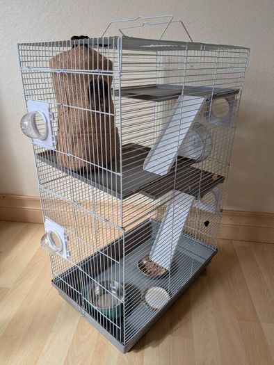 Rat cage and 2 cute rats