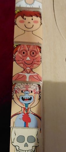 Educational Toy ; Wooden (947)  2