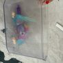 pet alive fish tank Image 3