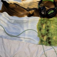 headphones