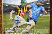 2014 Dublin v Kilkenny - GAA Leinster Senior Hurling Final Programme