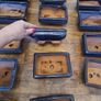 Bonsai pots Image 8