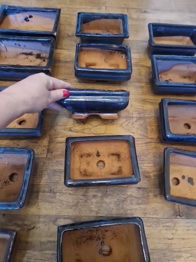 Bonsai pots