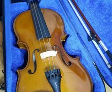 violin