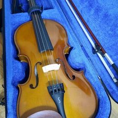 violin