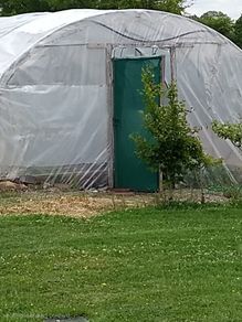 Polytunnel Frame for Sale