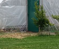 Polytunnel Frame for Sale