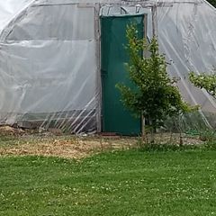 Polytunnel Frame for Sale