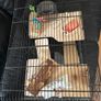 Hamster cage Image 2