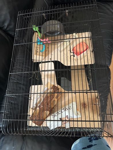 Hamster cage