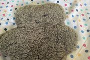 teddy