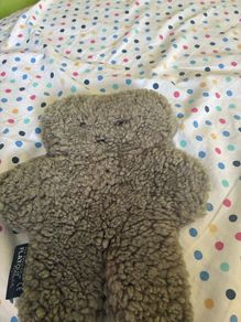 teddy