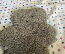 teddy