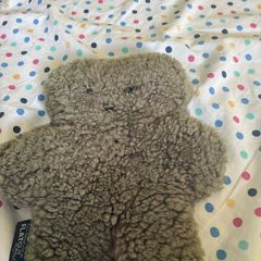 teddy