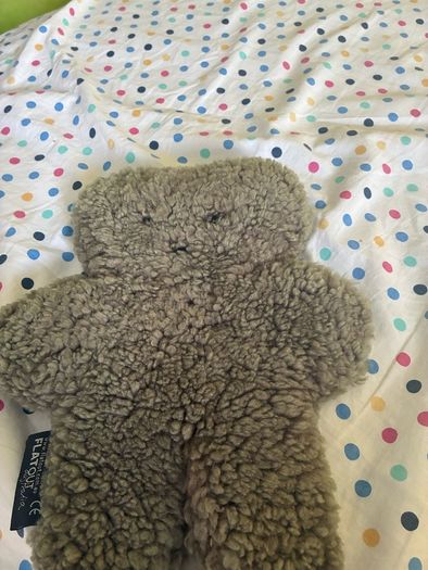 teddy