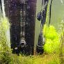fish tank Image 7