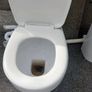 Toilet, hand basin/pedestal and shower door Image 8