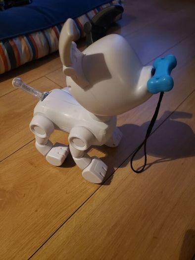 dog e