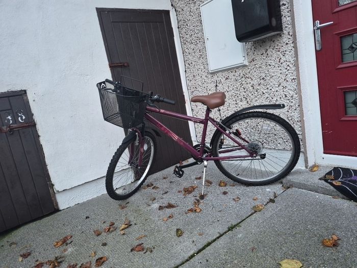 Apollo Twilight ladies bike with basket