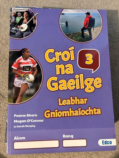 Selection of junior cert books