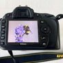 Nikon D90 18-105 VR Kit Image 5