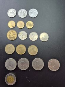 Hungarian Coins