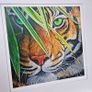 Hidden in the leaves | FineArt Print | Framed Image 7