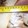 A Beautiful Large Antique Bronze or Brass Sculpture Image 7