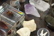 1 x 30 Day Adult Oddity Birthday Calendar Bones Crystals &amp; Curio Jewelry Gothic Countdown Box Witchy Curiosity Gift Set