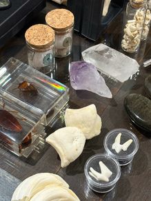 1 x 30 Day Adult Oddity Birthday Calendar Bones Crystals & Curio Jewelry Gothic Countdown Box Witchy Curiosity Gift Set