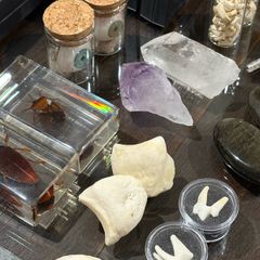 1 x 30 Day Adult Oddity Birthday Calendar Bones Crystals & Curio Jewelry Gothic Countdown Box Witchy Curiosity Gift Set