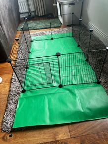 Rabbit or guinea pig Run