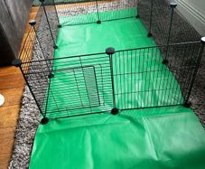 Rabbit or guinea pig Run