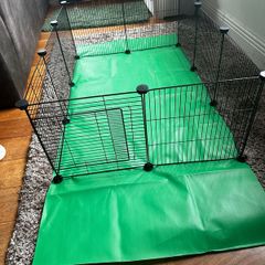 Rabbit or guinea pig Run