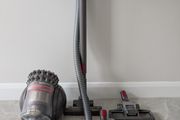 Dyson Big Ball Animal