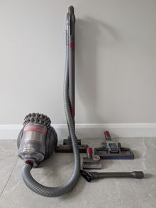 Dyson Big Ball Animal