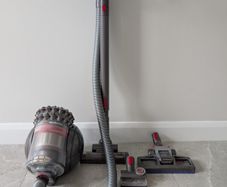 Dyson Big Ball Animal