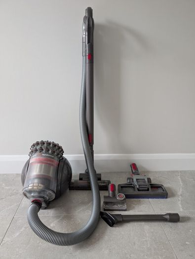 Dyson Big Ball Animal