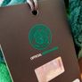 Personalised Celtic FC Dragon Plush Toy - Paul Image 4