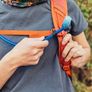 Gregory hiking 22l backpack & 2l hydration pack Image 9